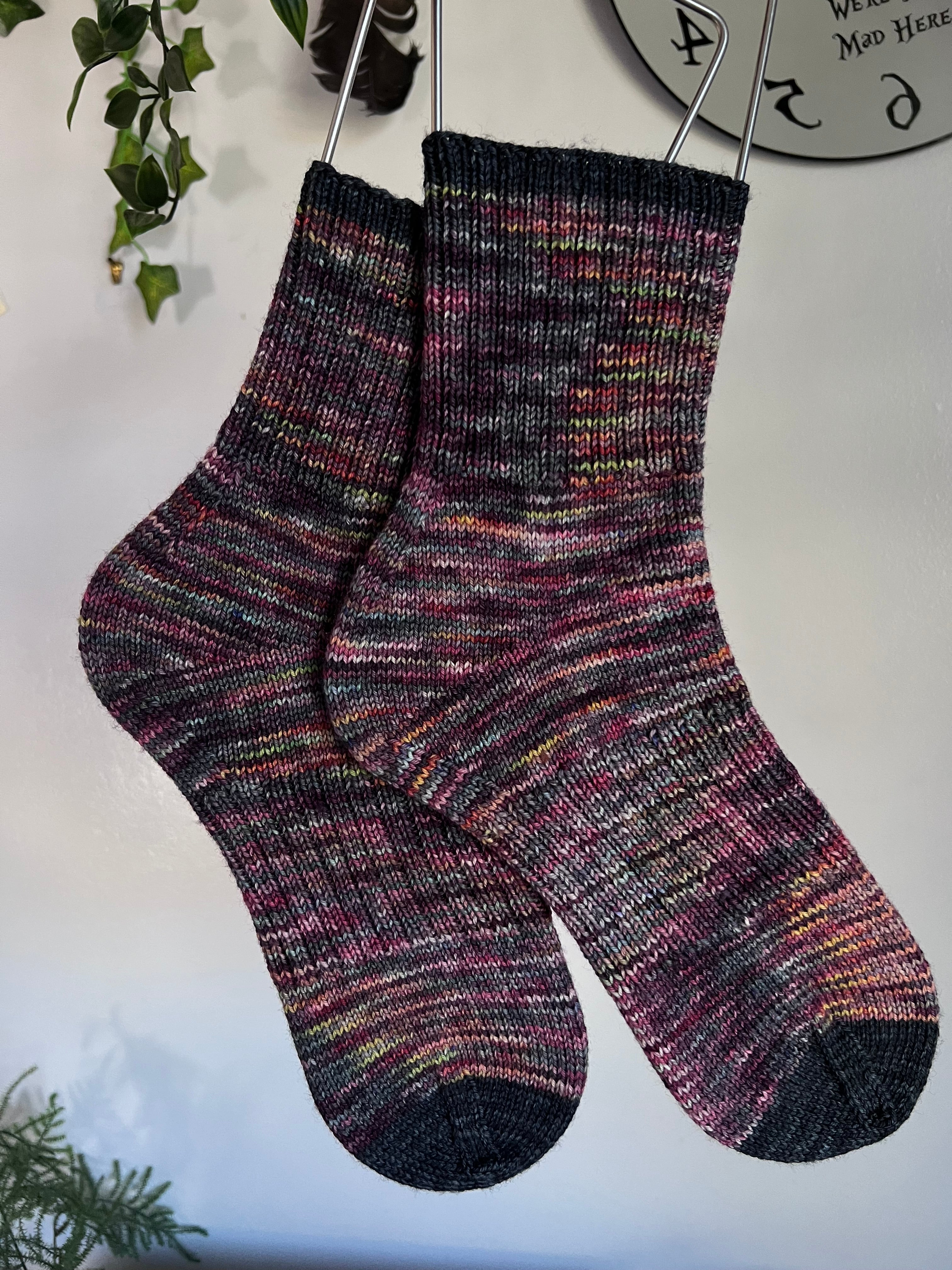 Sock Project: Project Hail Mary Socks